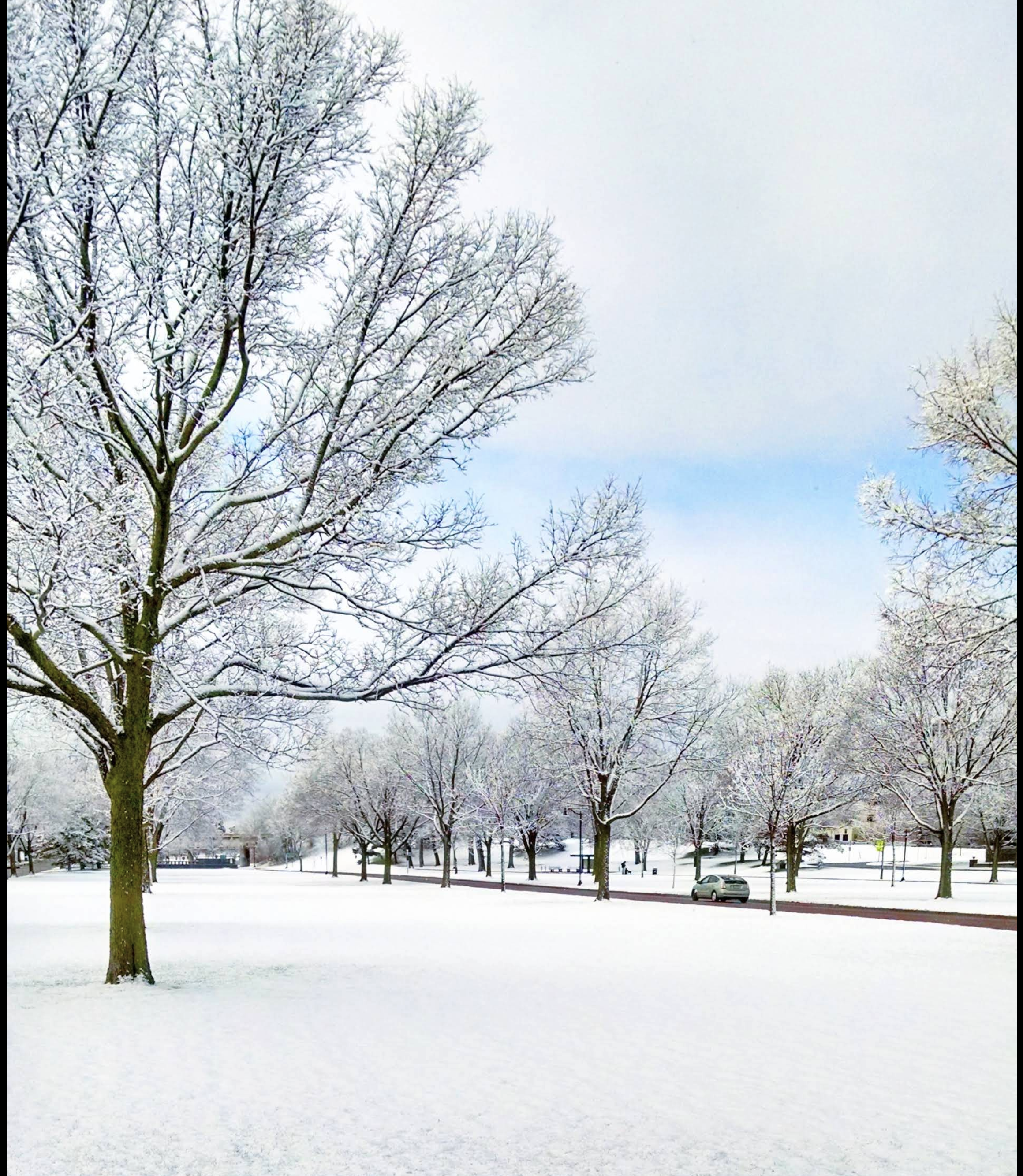Walking Paths
